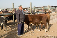03 Man and cow