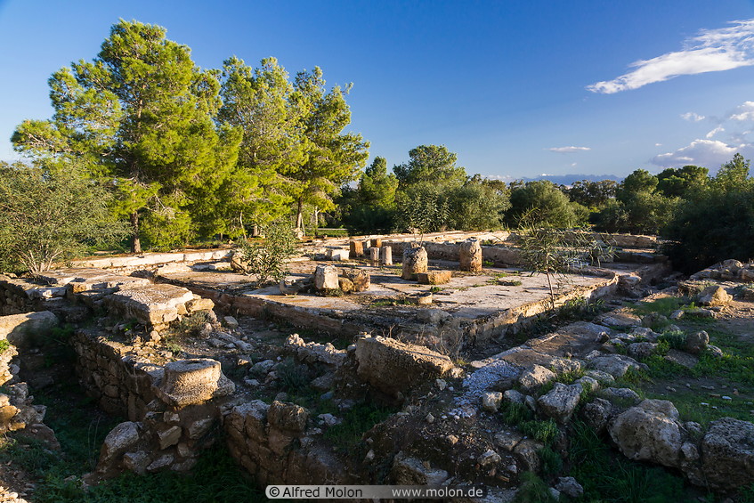21 Salamis ruins