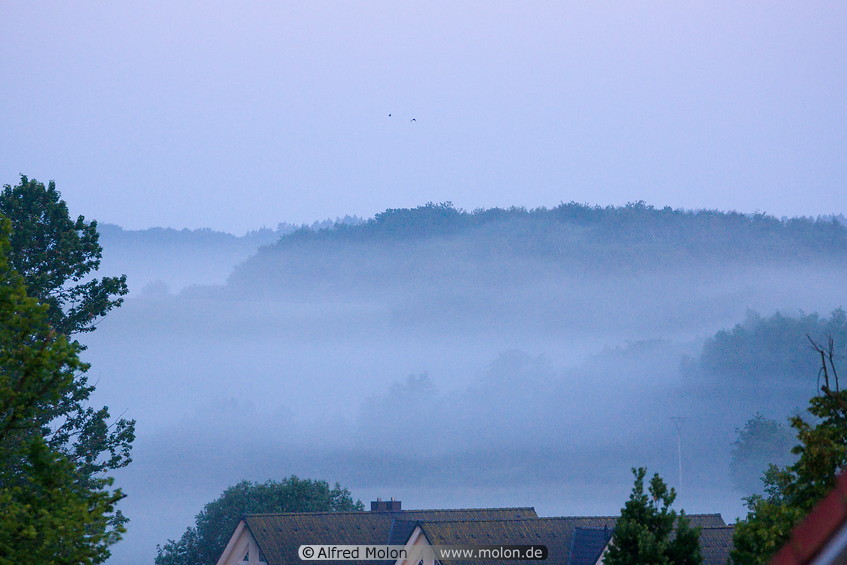 19 Early morning fog