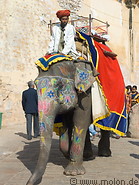 07 Elephant with guide