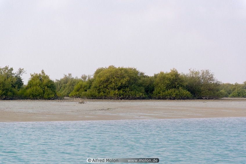 07 Harra mangroves