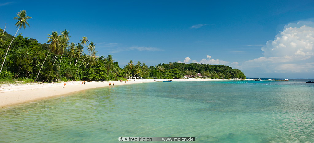 05 White coral sand beach with coconut palms