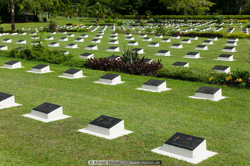 18 Rows of graves