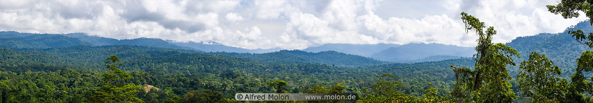 41 Panoramic view of the Maliau basin
