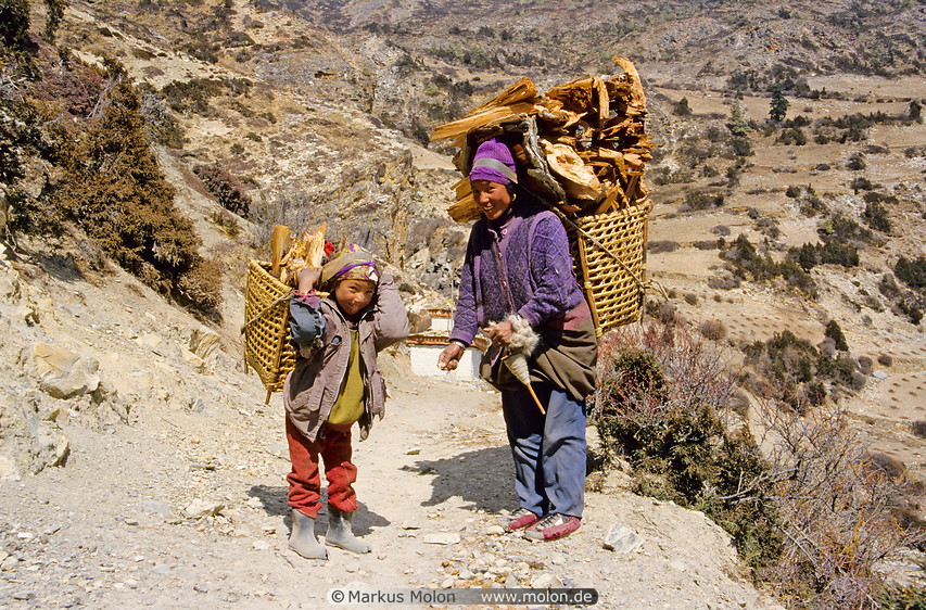 21 Firewood transport in Himalaya region