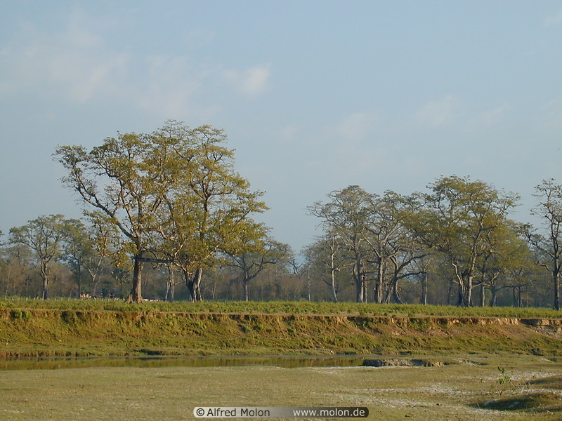 09 Chitwan National Park