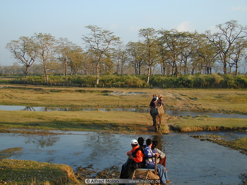 10 Elephant Safari - Chitwan National Park