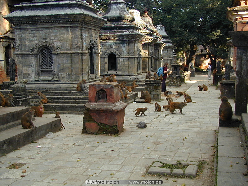 39 Pashupatinath temple area