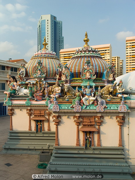 12 Sri Mariamman temple