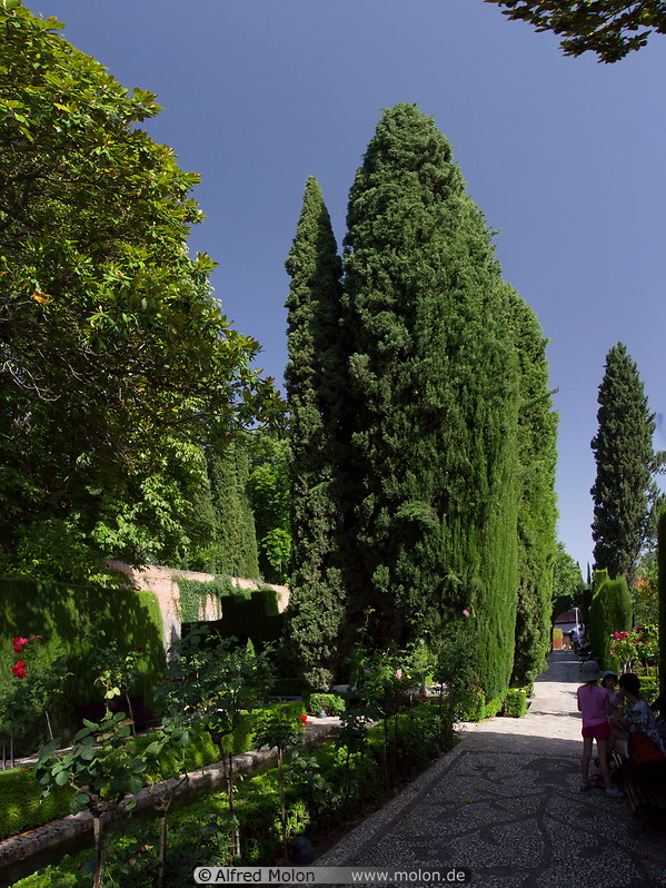 06 Generalife gardens