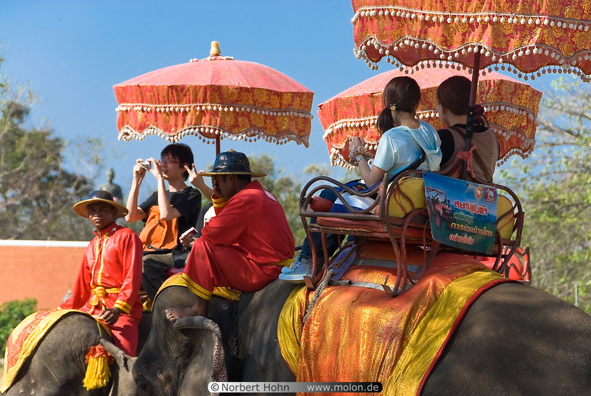 03 Elephants near Wat Phra Ram