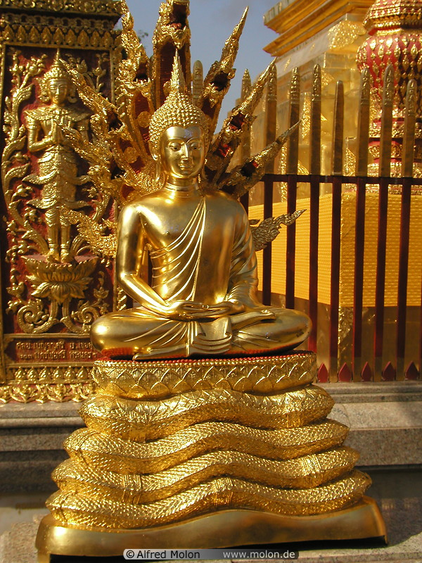 19 Golden Buddha statue