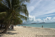 29 Coconut trees on beach