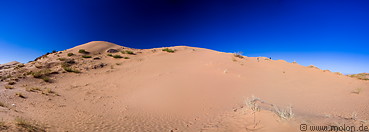 13 Sahara desert