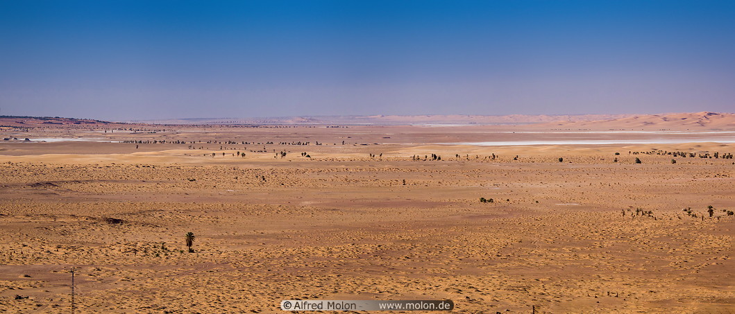 07 Empty desert