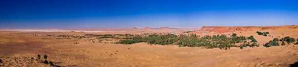 06 Ouled Said oasis and date palms
