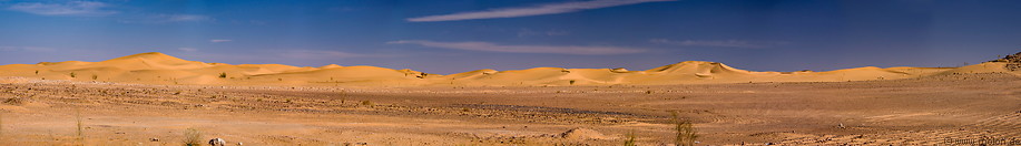 14 Western desert near El Golea