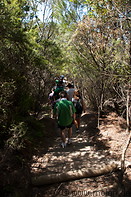 18 Tourists walking down on trail