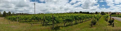 Yarra valley photo gallery  - 19 pictures of Yarra valley