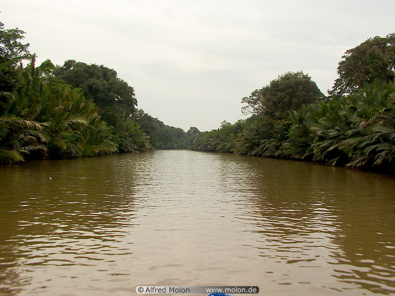02 Brunei river