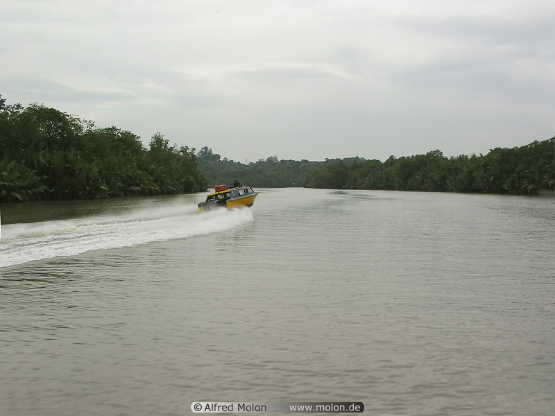 04 Brunei river