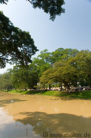 21 River and trees