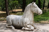 11 Horse statue