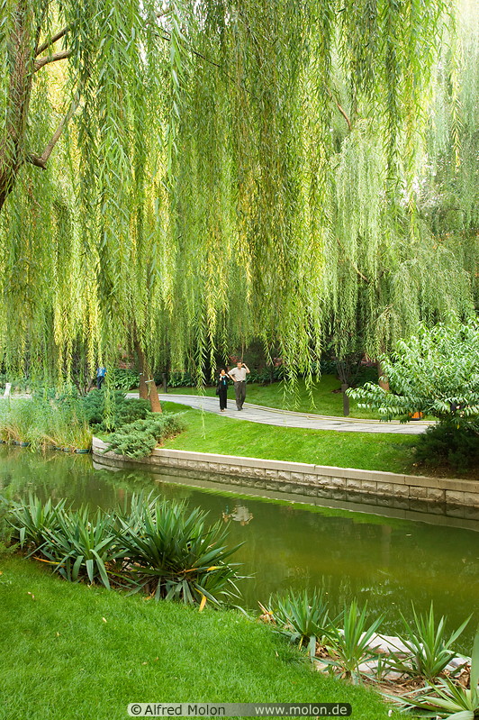05 Channel and weeping willow tree