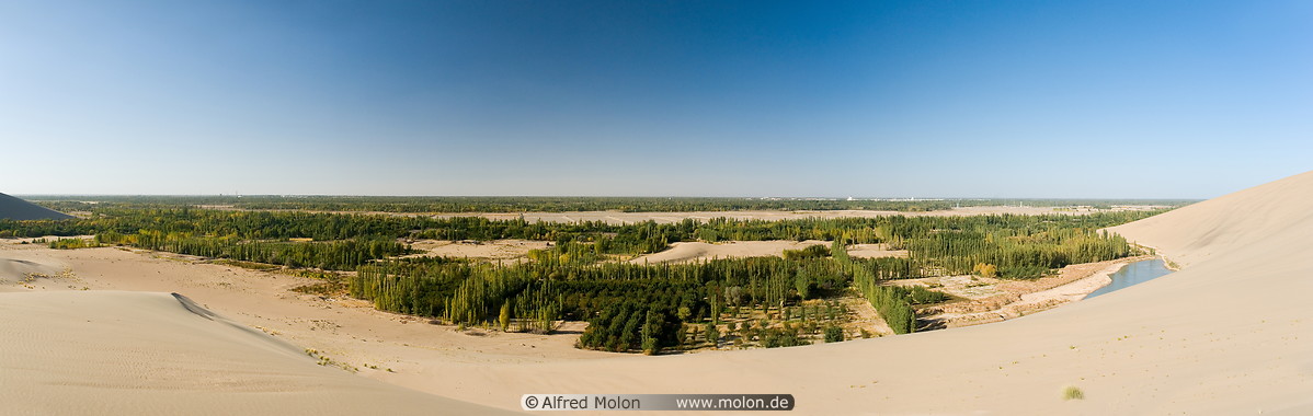 02 Panoramic view of cotton fields bordering desert