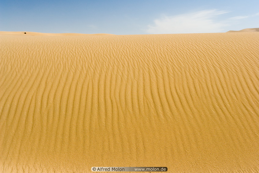 01 Ripple patterns in sand dune