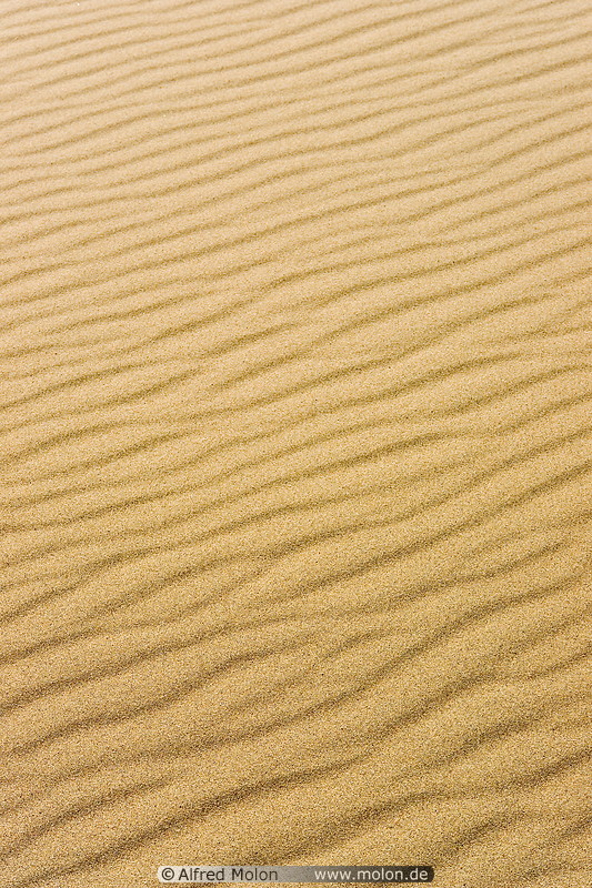 08 Ripple patterns in sand dune