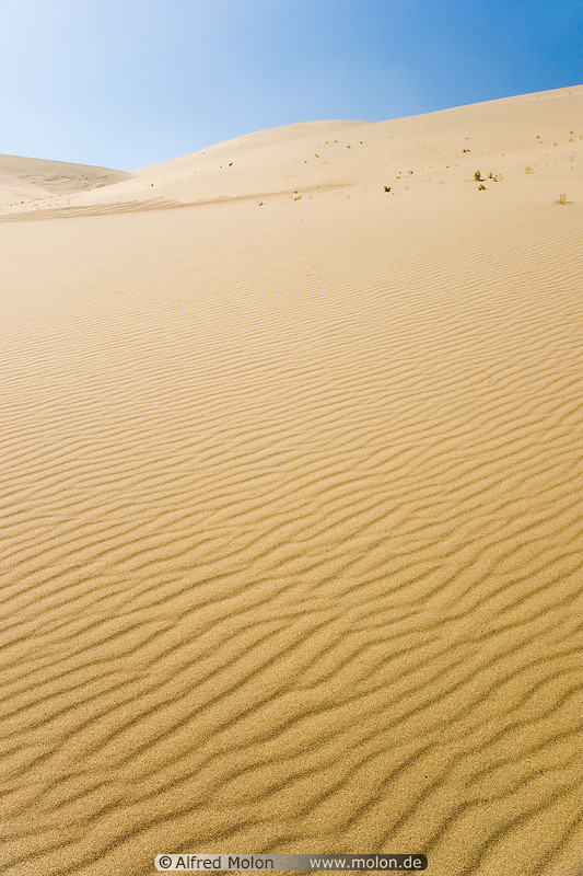 09 Ripple patterns in sand dune