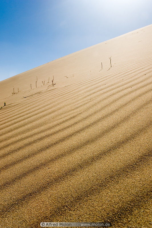 13 Ripple patterns in sand dune