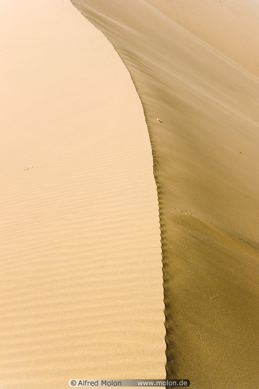15 Sand dune crest