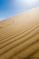 13 Ripple patterns in sand dune