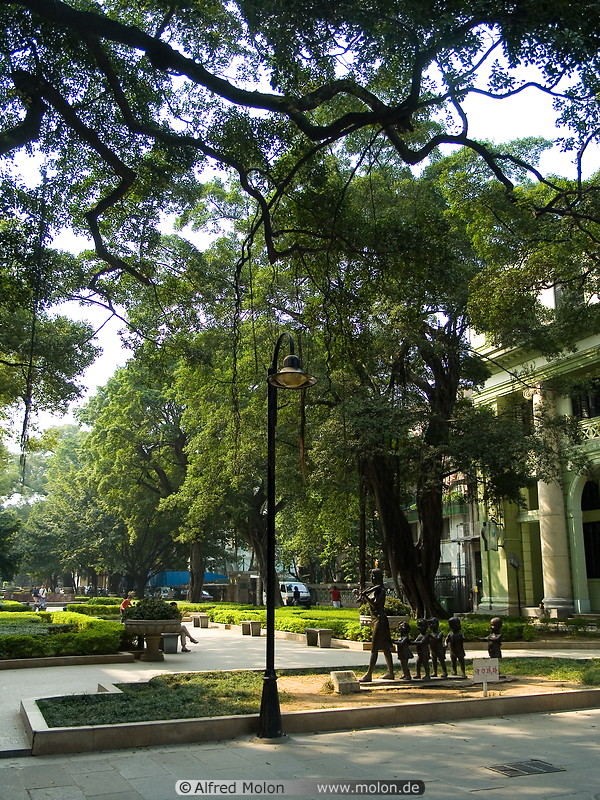 02 Trees and colonial building