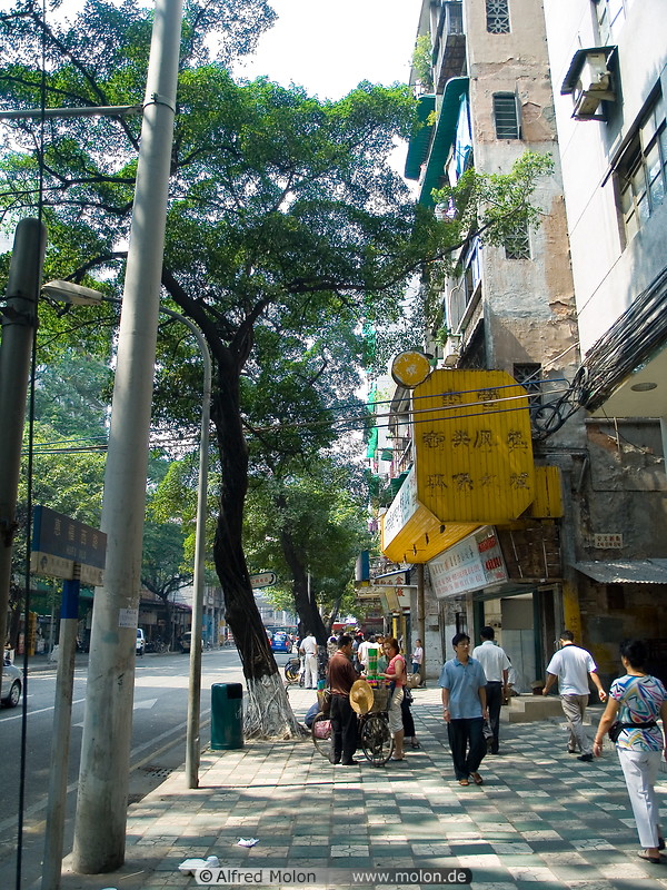 09 Tree-lined street
