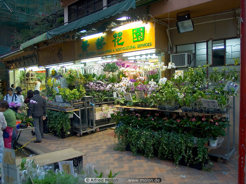 12 Flowers market
