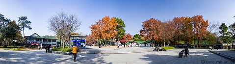 05 Autumn colours in Zhongshan park