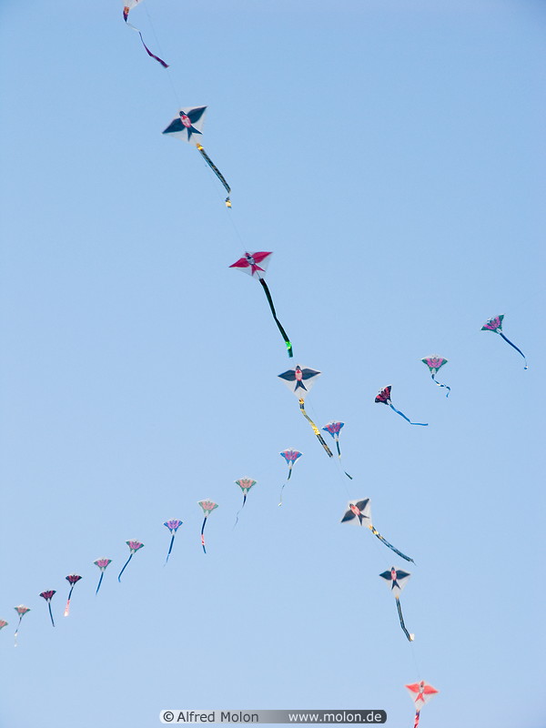 08 Kites