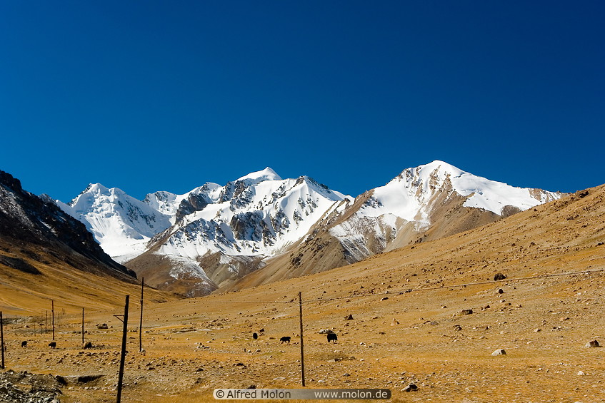 10 High altitude scenery with snow capped mountains 