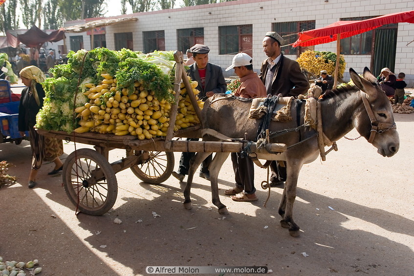 08 Donkey cart with vegetables