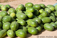 06 Water melons
