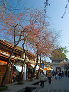 08 Street with shops and trees