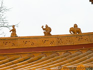 31 Roof detail