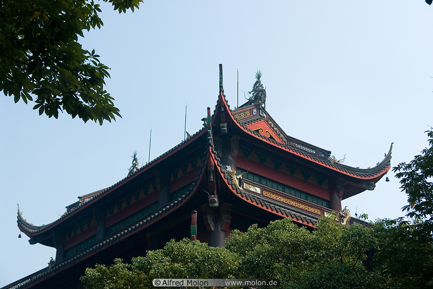 10 Pagoda roof