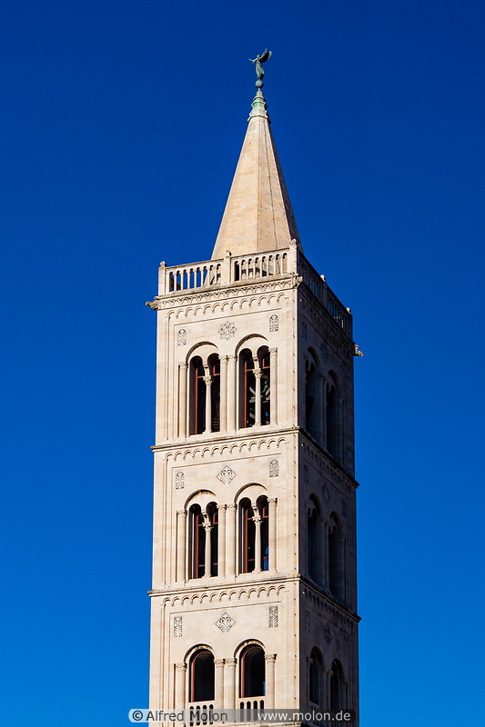 29 St Donatus church tower