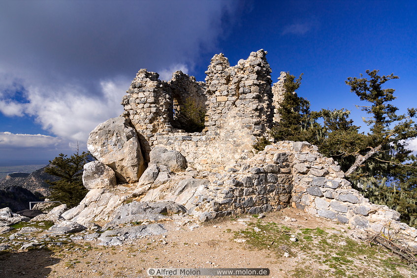 13 Castle ruins