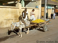 15 Lemon stall and donkey