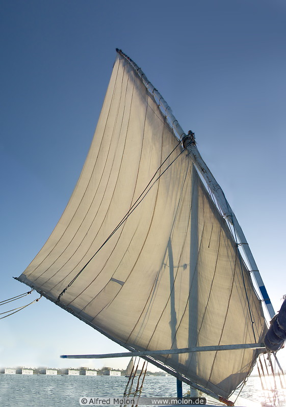 03 Felucca sail